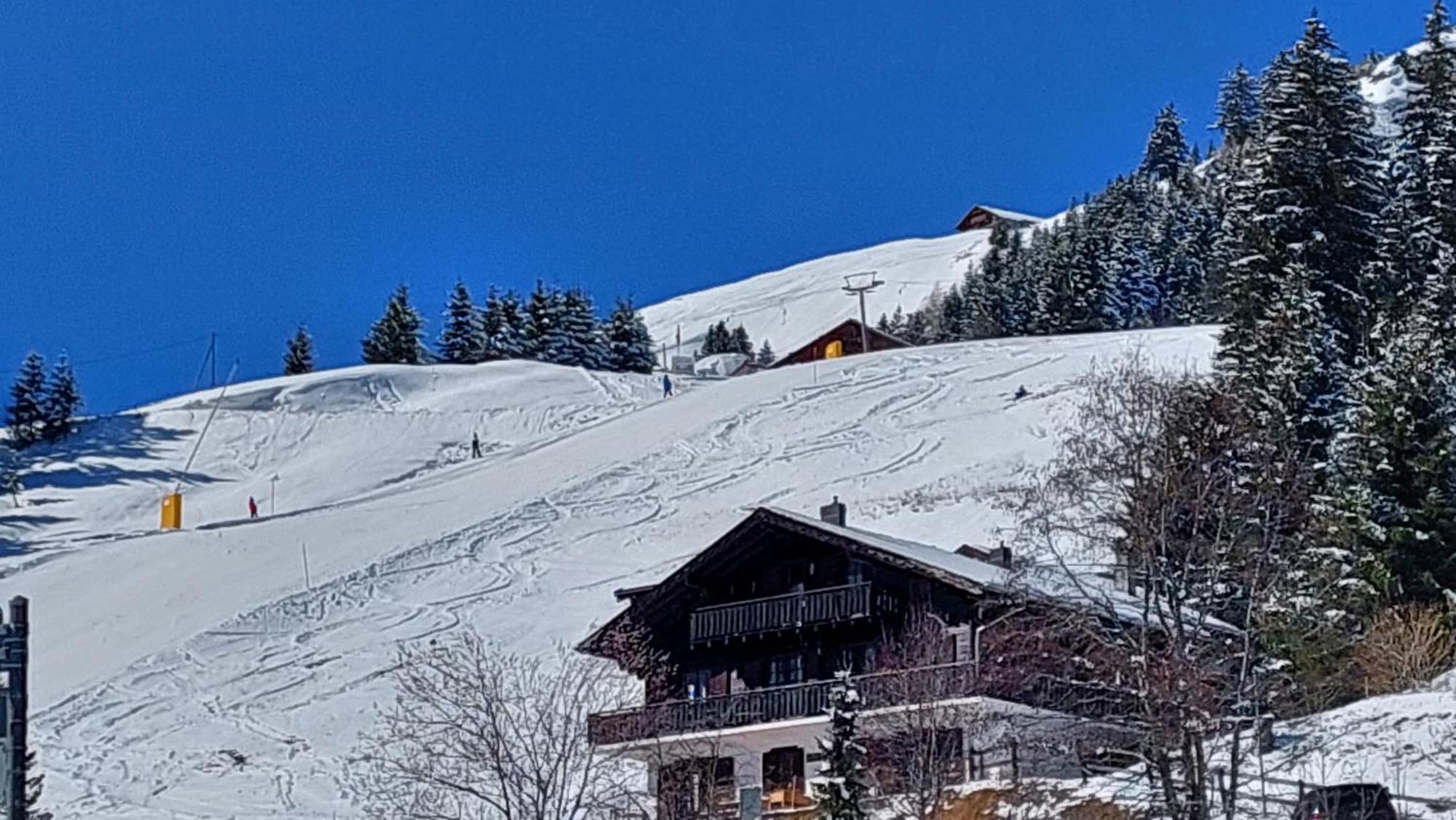 Alpage Immo Location Service Champoussin Bagian luar foto